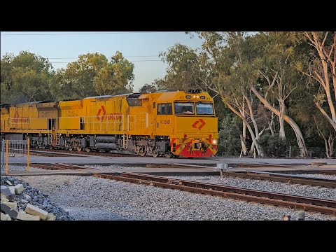 Aurizon Intermodal #railway #trainspotting #railfanning #trainspotter #indianrailways #railfans #car
