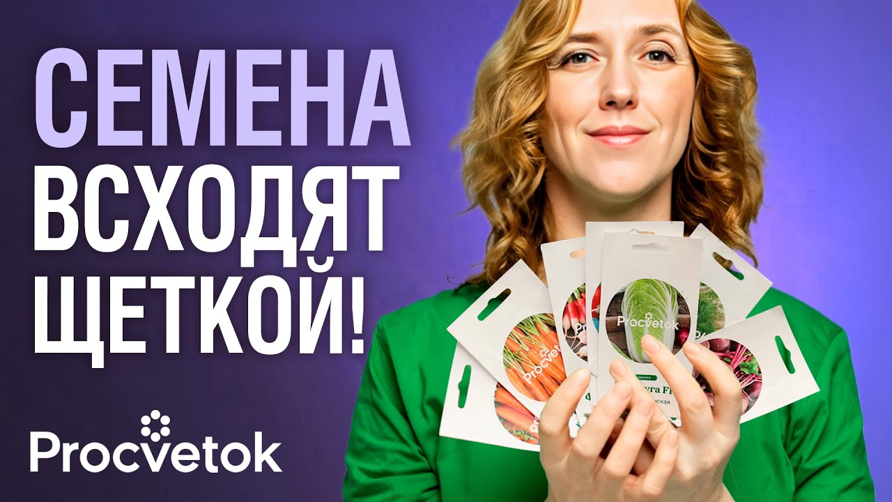 ️У ВАС ВЗОЙДУТ ЛЮБЫЕ СЕМЕНА! Если замочите их в этом бесплатном средстве