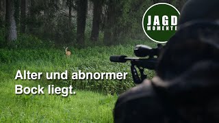 Fasane und ein ganz besonderer Rehbock | JagdMomente