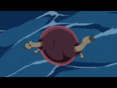 Nico robin saved Chopper.