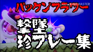 パックンフラワー撃墜集