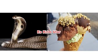 Download lagu Suling Ular Cobra mp3