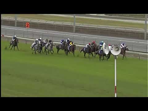 Race Replay: Matamata Race 2 - 23 February
