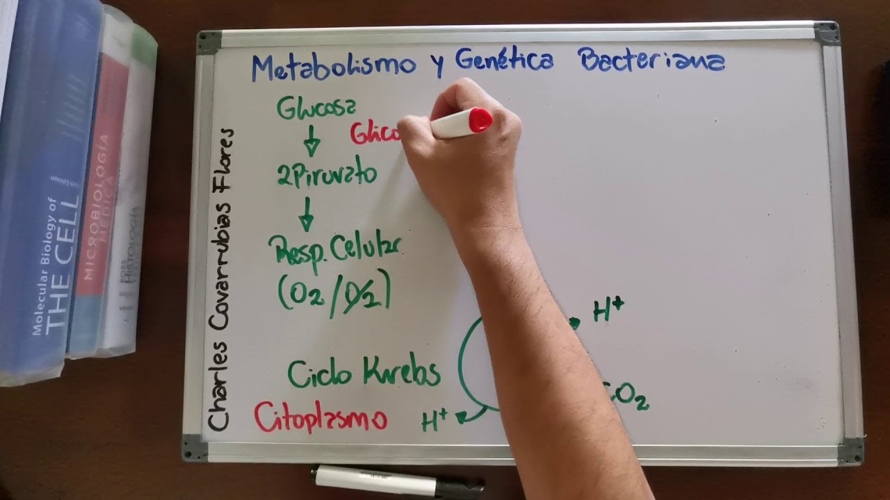 Metabolismo y Genética Bacteriana