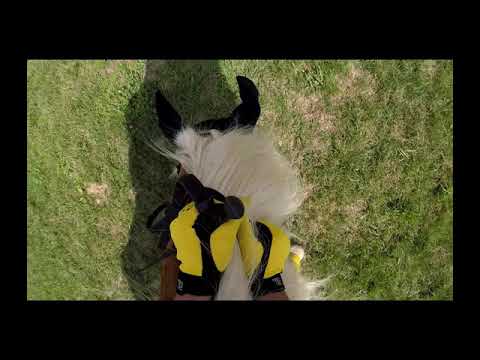 You've been meatballed!