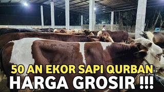 Download lagu HARGA SAPI QURBAN 2026‼️STOK SAPI PERSIAPAN QURBAN TERBARU mp3