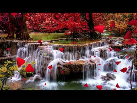 Música Milagrosa ⚜ Elimina Maldiciones y Brujerías Para Quedar Embarazada y Tener un Hijo o Adoptar