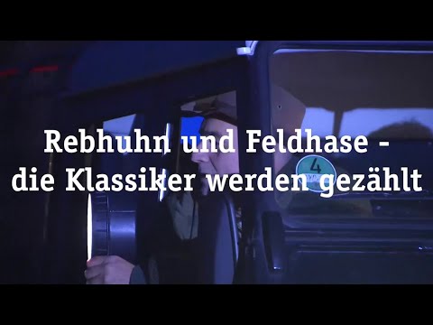 30 Jahre WTE: Rebhuhn und Feldhase – die Klassiker werden gezählt