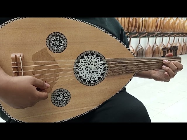 عود كهربائي احترافي سوبر لوكس