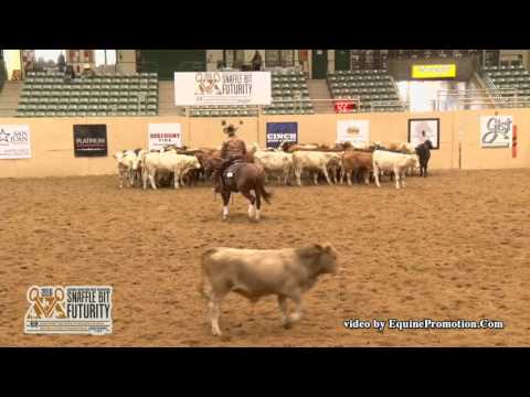 That Cats On Fire ridden by Chris Dawson  - 2016 NRCHA Snaffle Bit Futurity (Herd-Open Prelims)