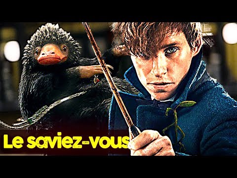 download lagu mp3 mp4 Les Animaux Fantastiques Allocin, download lagu Les Animaux Fantastiques Allocin gratis, unduh video klip Les Animaux Fantastiques Allocin