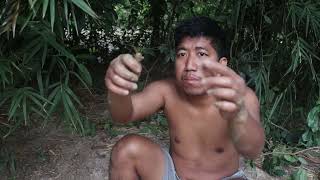 Wild insects food for survival Yumy Yumy