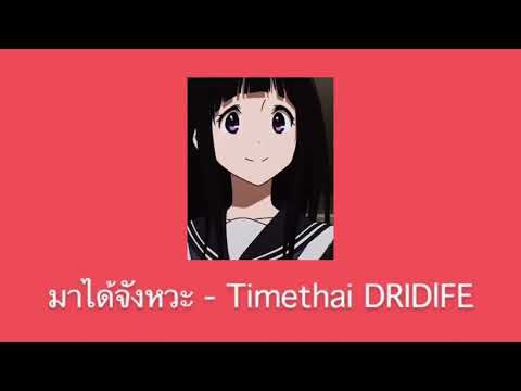 มาได้จังหวะ-Timethai DRIDIFE
