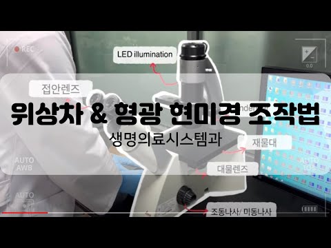 생명의료시스템과 I 위상차 & 형광 현미경 조작법