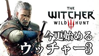 10年以上ずっと名作と言われてる『ウィッチャー3』を、今さら初見で遊んでみた