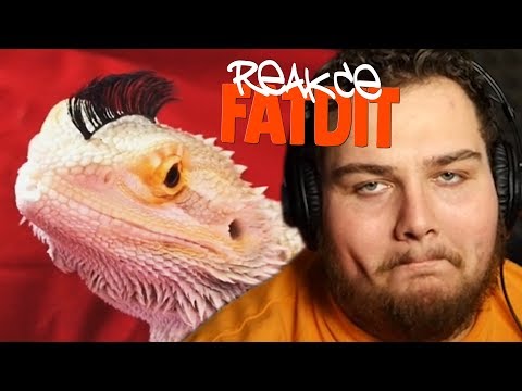 TO NEVYMYSLÍŠ.. :D