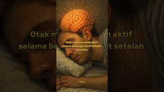 Download lagu Otak Masih Aktif Beberapa Menit Setelah Mati? ⏳ #unik #faktamenarik #faktaunik mp3 Download lagu Otak Masih Aktif Beberapa Menit Setelah Mati? ⏳ #unik #faktamenarik #faktaunik mp3