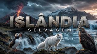 ISLÂNDIA SELVAGEM | Como a Vida Prospera na Terra do Fogo e do Gelo - Documentário
