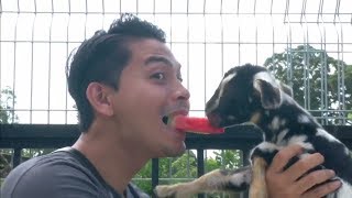 Download lagu Izzue Islam - Tanda Gembira [ Video] mp3