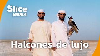 Thumbnail del capítulo