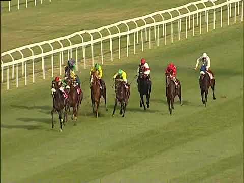 Full Drago Premio Tesio