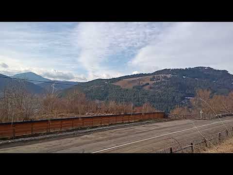 Ricaedy-Schit Poiana