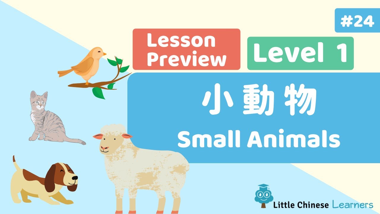 Kids Learn Mandarin - Animals 小動物 | Lesson A24 Preview | Little Chinese Learners