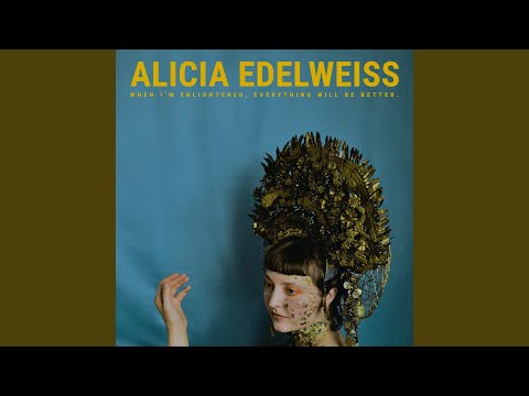 The Cockroaches and Me