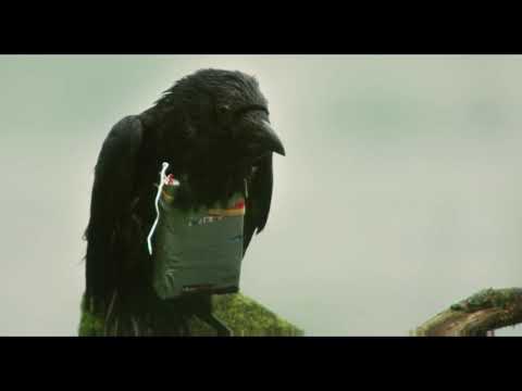 Four Lions - Brother Crow