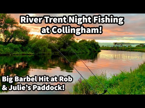 River Trent NIGHT FISHING at Collingham - BIG Barbel hit at Rob & Julie's Private Paddock!