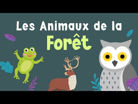 Les Animaux de la forêt et leurs cris 🦉 - Mon imagier sonore - Apprendre le vocabulaire