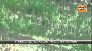 irpinia-invasa-dai-cinghiali-agricoltori-sul-piede-di-guerra