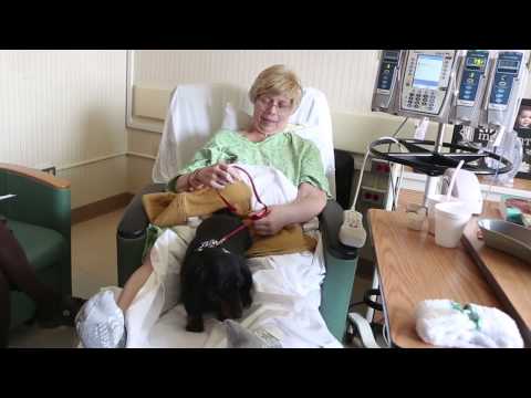 Rush Pet Visitation Policy