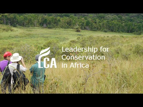 A case for grasslands and why they are so important