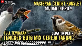 Download lagu MASTERAN TERMEWAH..!!!CENDET FULL TEMBAKAN TENGKEK BUTO MIX GEREJA TARUNG !! mp3 Download lagu MASTERAN TERMEWAH..!!!CENDET FULL TEMBAKAN TENGKEK BUTO MIX GEREJA TARUNG !! mp3