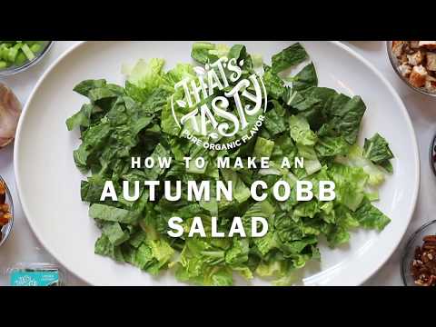 download lagu mp3 mp4 Autumn Cobb Salad, download lagu Autumn Cobb Salad gratis, unduh video klip Autumn Cobb Salad