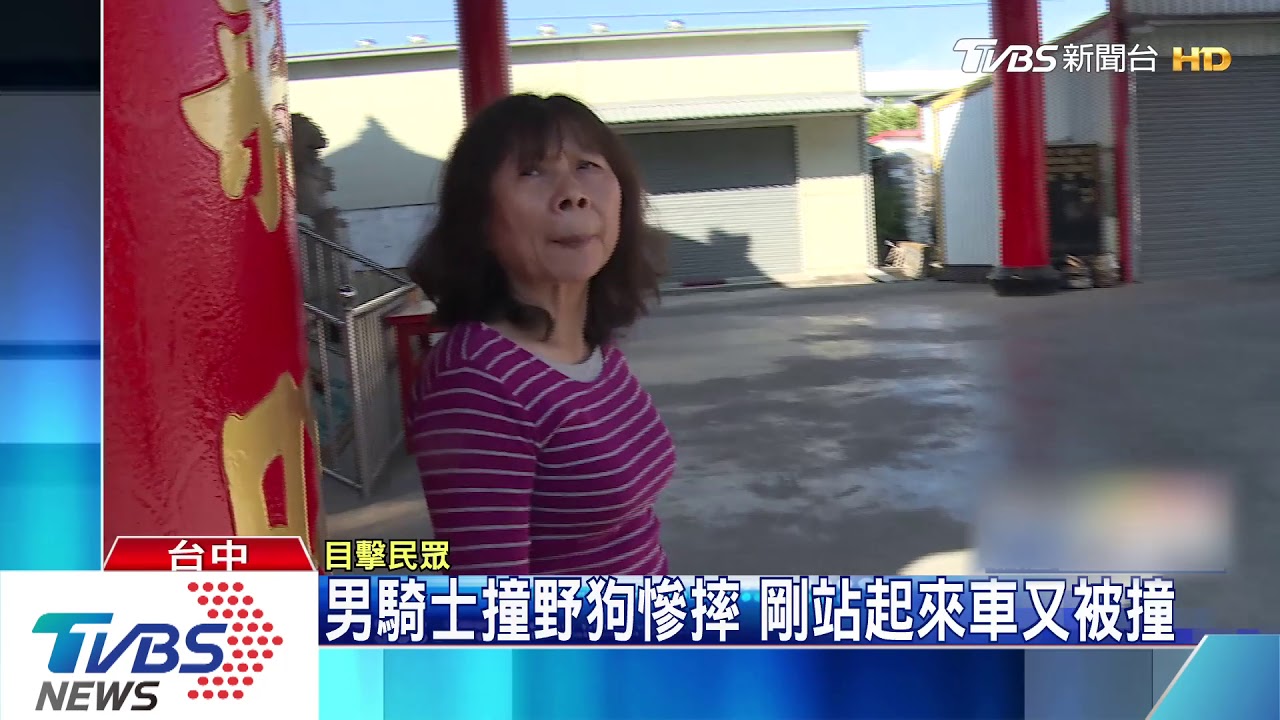 男騎士撞野狗慘摔 剛站起來車又被撞
