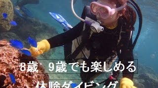 沖縄ダイビングショップ シーフリー(Sea Free)