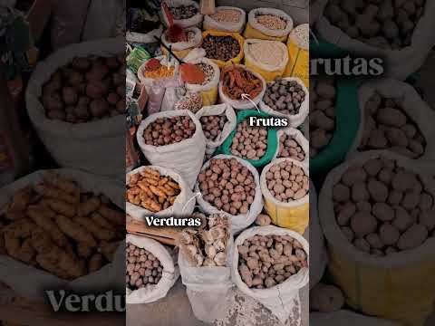 QUÉ HACER en San Salvador de JUJUY 🇦🇷 | ITINERARIO de viaje al NORTE ARGENTINO