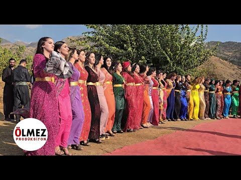 Şiyar Berwari - Çiyayé Gabar  Govenda kurdi Özgür & Evin düğünü #kurdishweddingdance