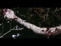 JENNY PEARL - Ainjel Emme (ORIGINAL) 