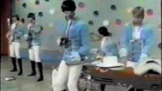 Him or Me - What's It Gonna Be - Paul Revere and the Raiders Better Audio