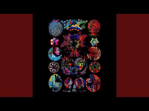 Dun D Place (feat. Stylo G) (SNØW Remix)