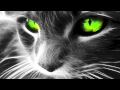 Robin S - Show Me Love (Bass King Bootleg ...