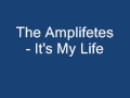 The Amplifetes-It's My Life 