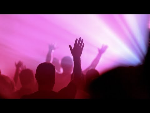 TW1GZ x STONEMIST - Taiga