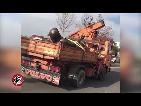 Stop - Kur tufën e prin gomari...?! (09 janar 2018)