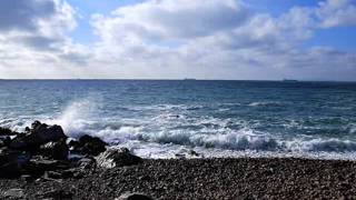 적우   파도를 훔친 바다