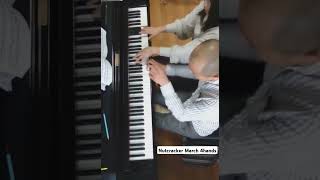 Download lagu #nutcracker  #4handspiano #pianomusic #tchaikovsky  #連弾　#ひいてみた #march  #行進曲 #チャイコフスキー #くるみ割り人形 mp3