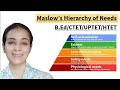 Maslow S Hierarchy Of Needs B Ed CTET UPTET HTET